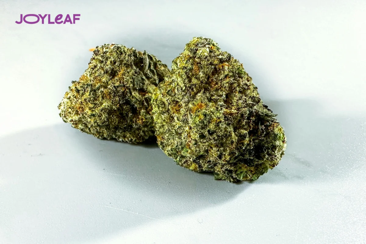 Monthly Weed Deals Near You